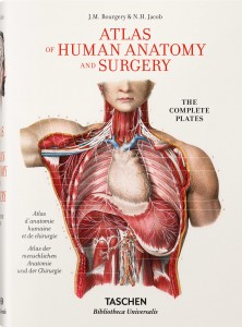 Bourgery. Atlas of Human Anatomy and Surgery BU