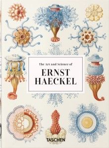 Ernst Haeckel - 40