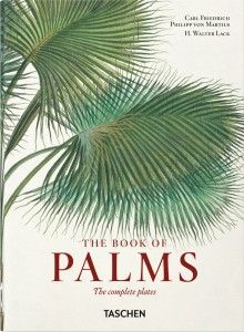 Martius. The Book of Palms - 40