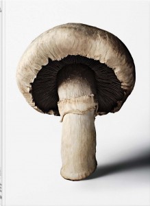 The Gourmand's Mushroom. A Collection of Stories & Recipes